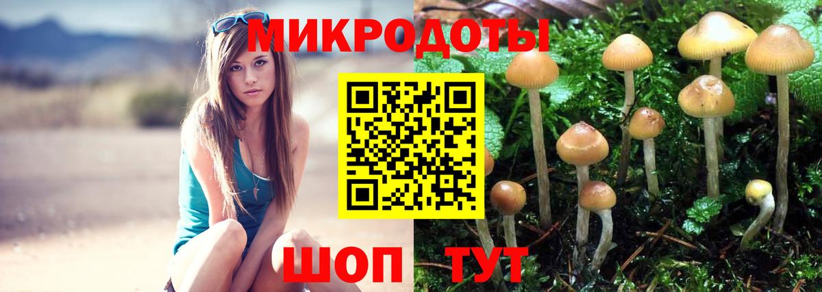 Псилоцибиновые грибы Magic Shrooms Всеволожск